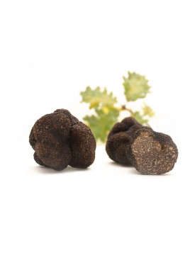 Morceaux de truffes noires...